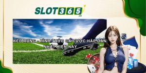 Kèo Rung - Hình Thức cá Cược Hấp Dẫn Nhất Hiện Nay